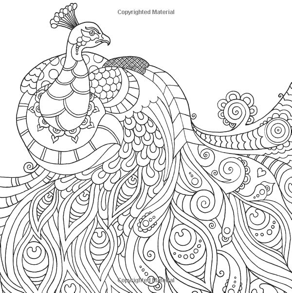 Coloring Pages For Adults Peacock