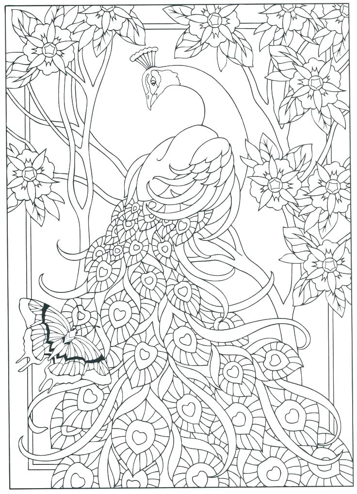 736x1019 Peacock Coloring Page Coloring Pages Peacock Peacock Color Page