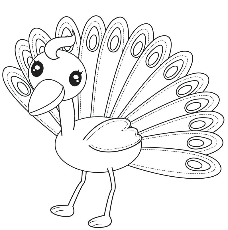 800x806 Peacock Coloring Page Stock Illustration Illustration Of Download