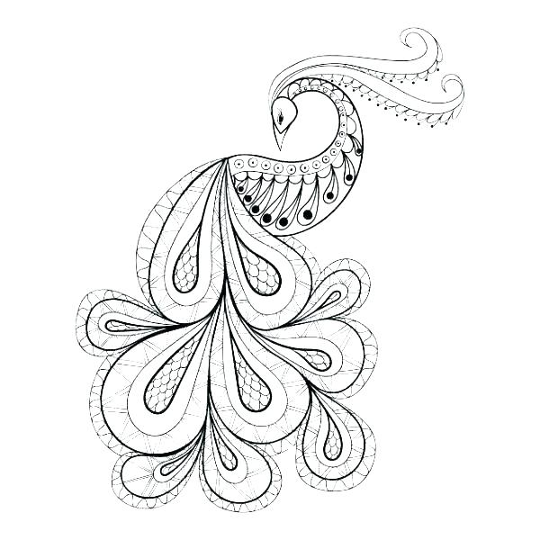 600x600 Peacock Feather Coloring Page Peacock Feathers Coloring Pages