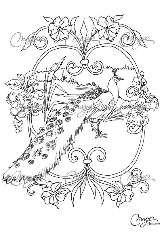 570x806 Peacock Feather