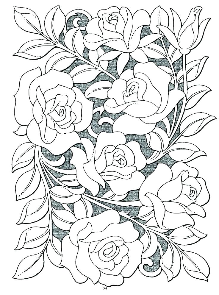 736x991 Roses Coloring Page Roses Coloring Pages Rose Coloring Books