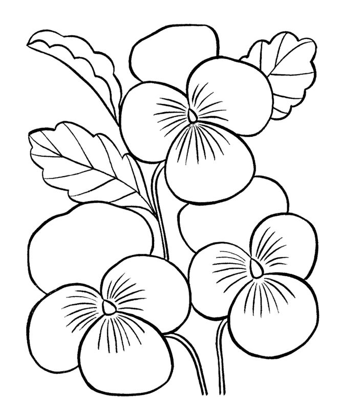 Coloring Pages For Adults Simple