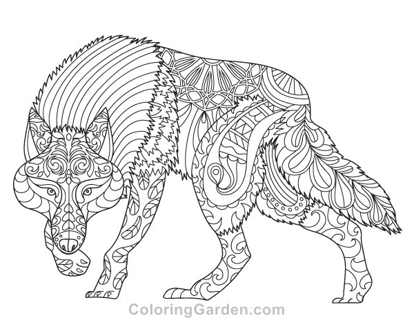 600x464 Wolf Adult Coloring Page