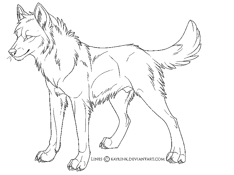 800x600 Anime Wolf Coloring Pages
