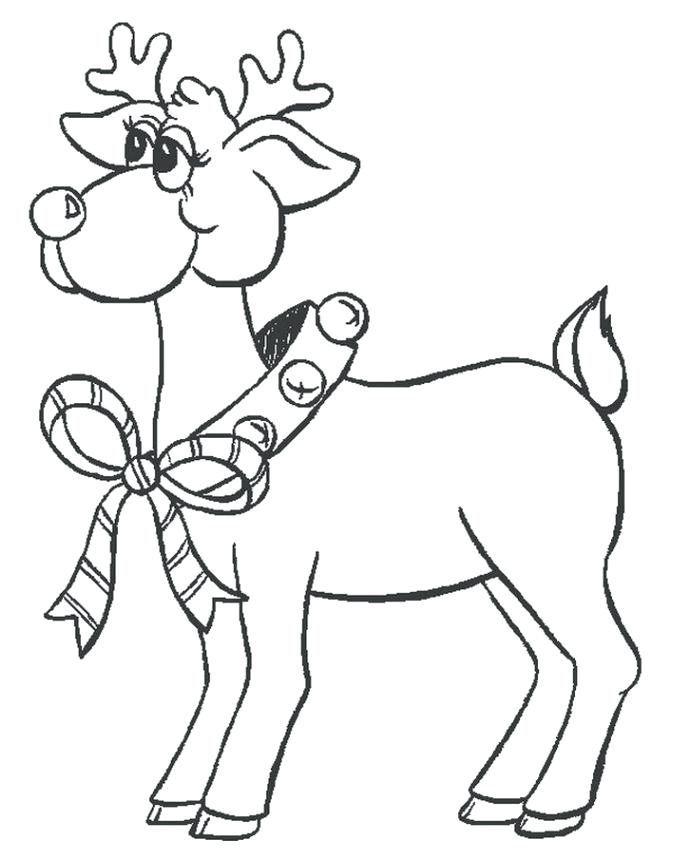 674x860 Forest Animals Coloring Pages All The Wild Animals Of The Fox