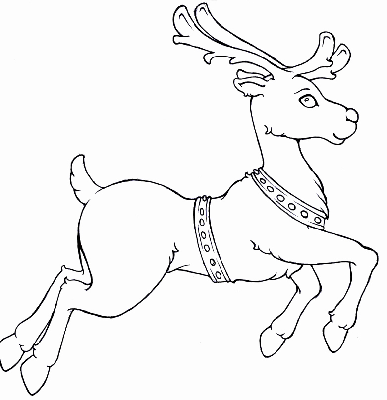 781x807 Caribou Reindeer Coloring Merry Christmas Amp Happy New Year Arts