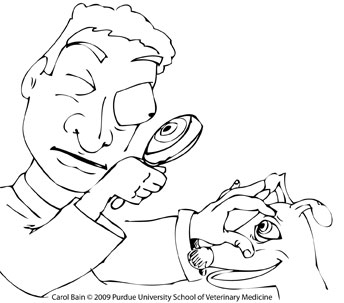 344x303 Free Coloring Pages