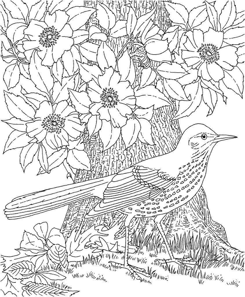 Coloring Pages For Elderly Adults