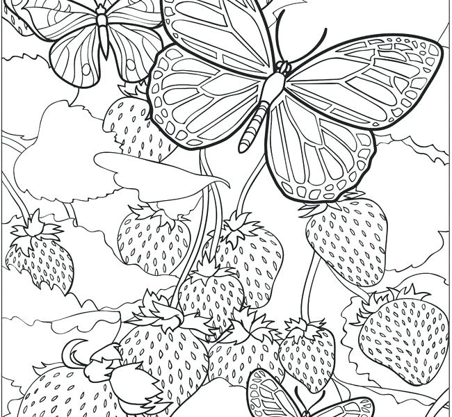 650x600 Coloring Pages Older Adults Awesome Fun Coloring Pages