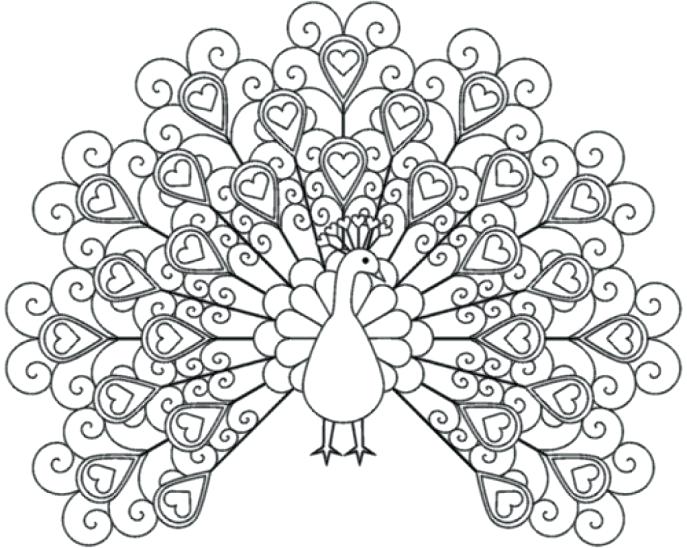 687x548 Coloring Pages For Older Adults Coloring Books For Seniors Packed