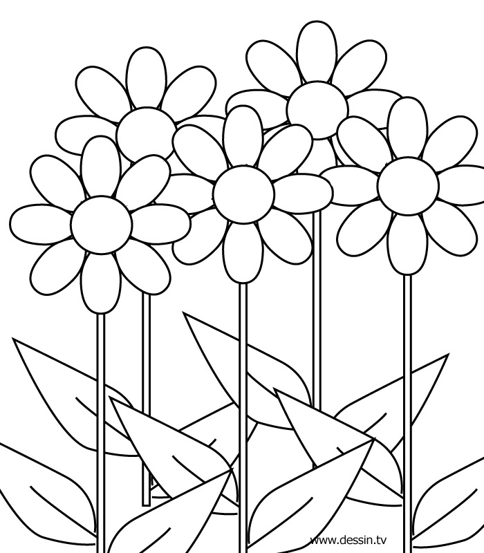700x800 Coloring Pages Girls 9 And Up Cooloring Coloring Pages