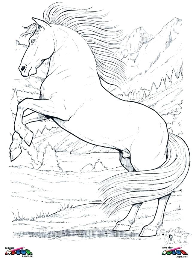 645x860 Horses Coloring Pages Coloring Page Of Horse Horse Coloring Pages