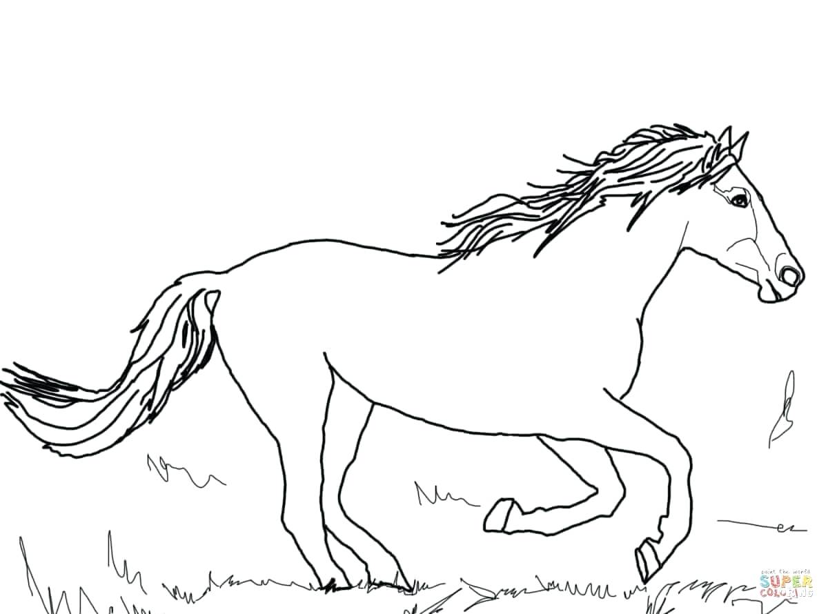 1200x890 Coloring Pages For Girls Horse Head Sketch By Cruel Intentions
