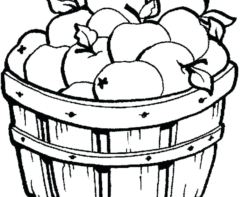 973x800 Apples Coloring Pages Apples Coloring Pages Enchanting Apple