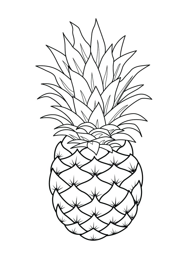 736x1032 Fruits Coloring Pages Free Fruit Coloring Pages Fruit Basket