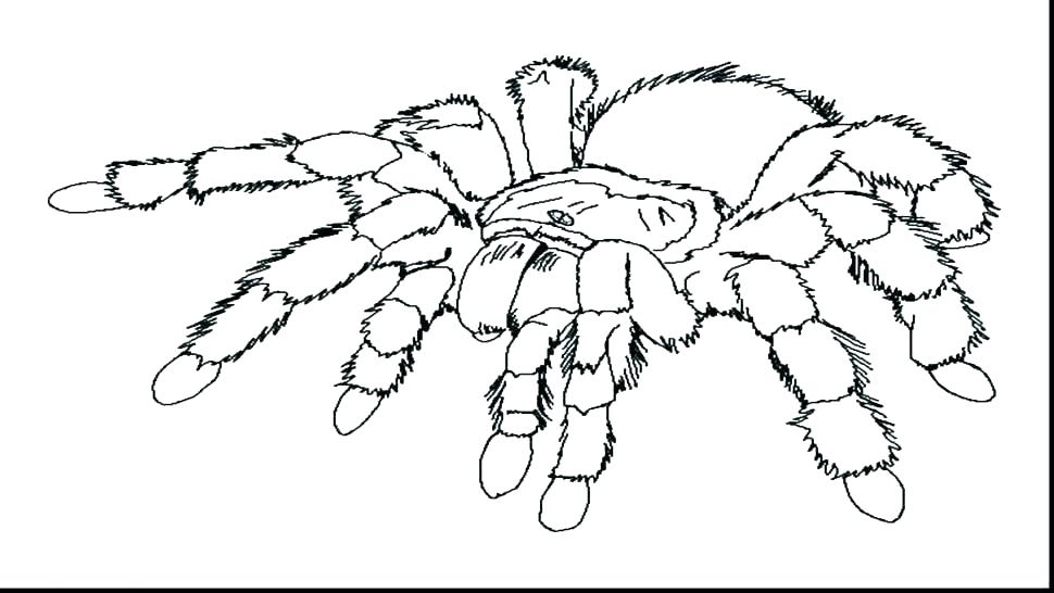 970x546 Coloring Spiderman Games Coloring Page Coloring Pages Printable