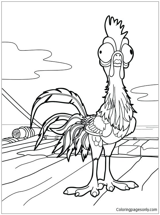 558x746 Kitchen. Moana Coloring Pages Printable