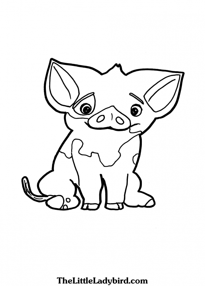 688x960 Get This Printable Moana Coloring Pages Online Tl71b !