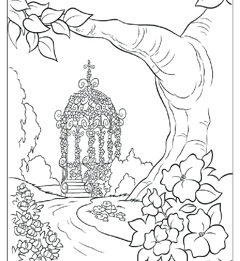 826x900 Nature Coloring Pages Free Printable Nature Coloring Pages