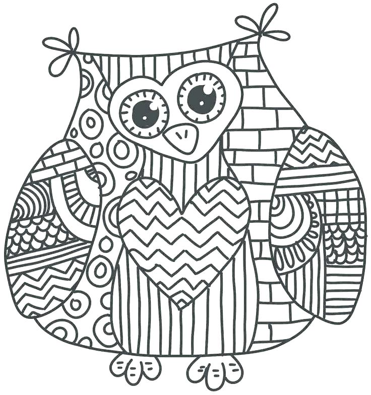 736x784 Owl Color Pages Free Printable Owl Coloring Pages For Kids Free
