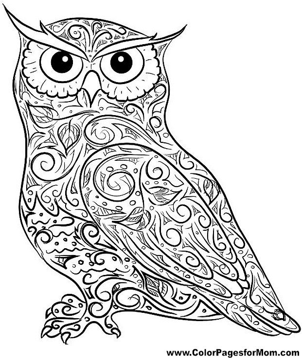 621x737 Free Printable Owl Coloring Pages Adult