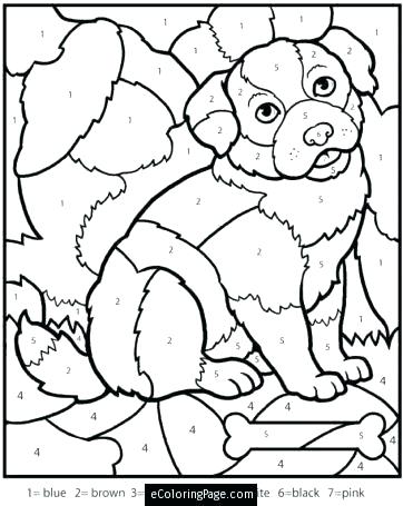 362x455 Bible Color By Number