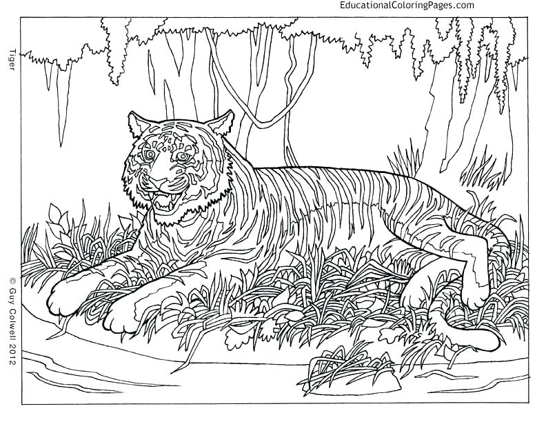 792x612 Hard Coloring Pages Coloring Pages For Older Adults Hard Coloring