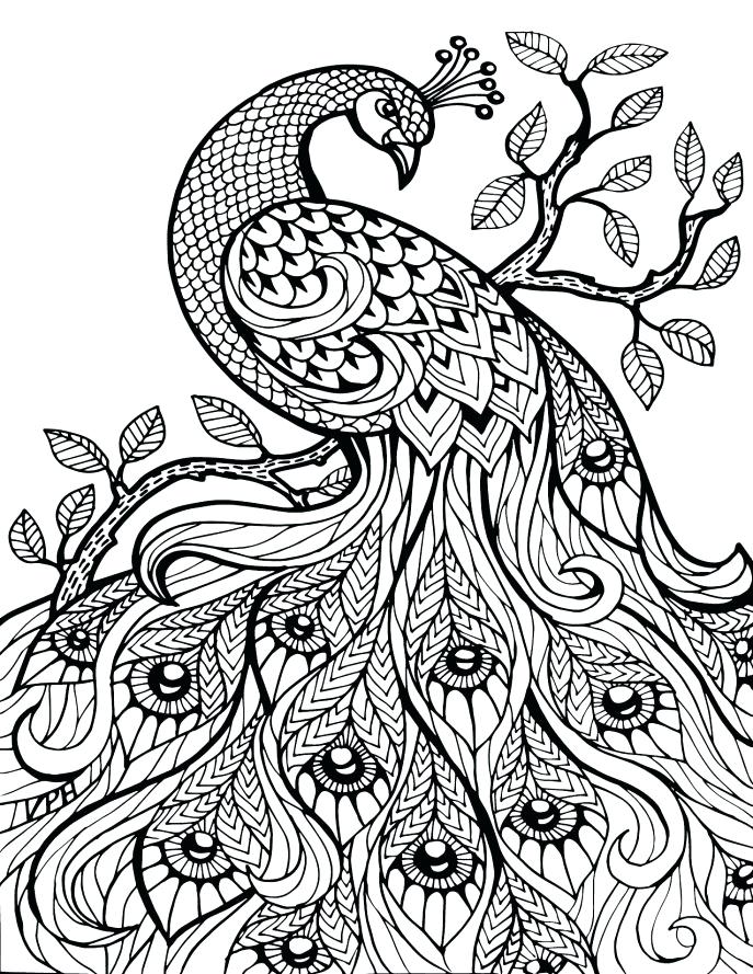 687x889 Coloring Books For Seniors Coloring Pages For Older Adults Simple