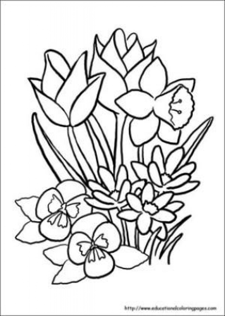 731x1024 Coloring Pages. Coloring Books For Seniors