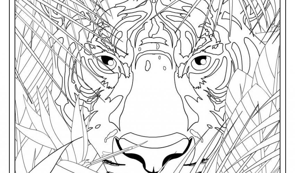 1024x600 Coloring Pages For Teen Boys Timykids