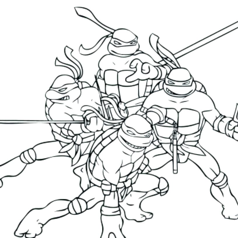 816x816 Turtle Coloring Book Sea Turtle Coloring Page Free Turtle Coloring