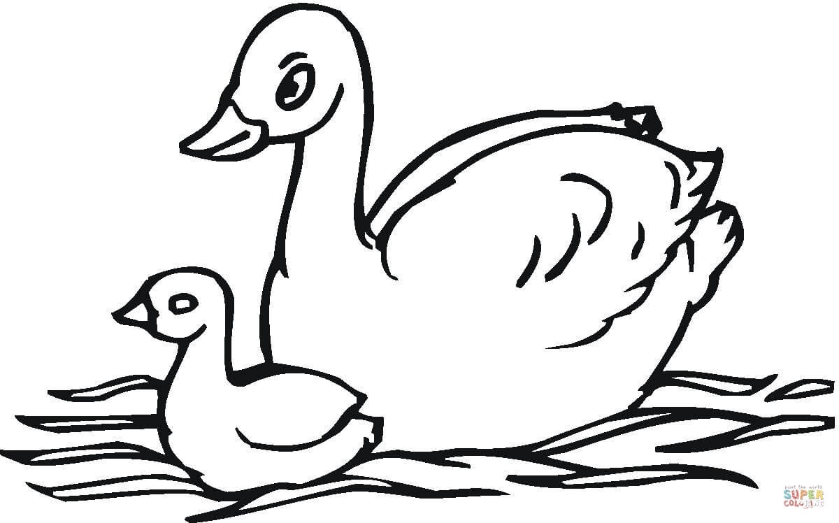 1200x748 Coloring Pages For Two Year Olds Coloring Pages For Two Year Olds