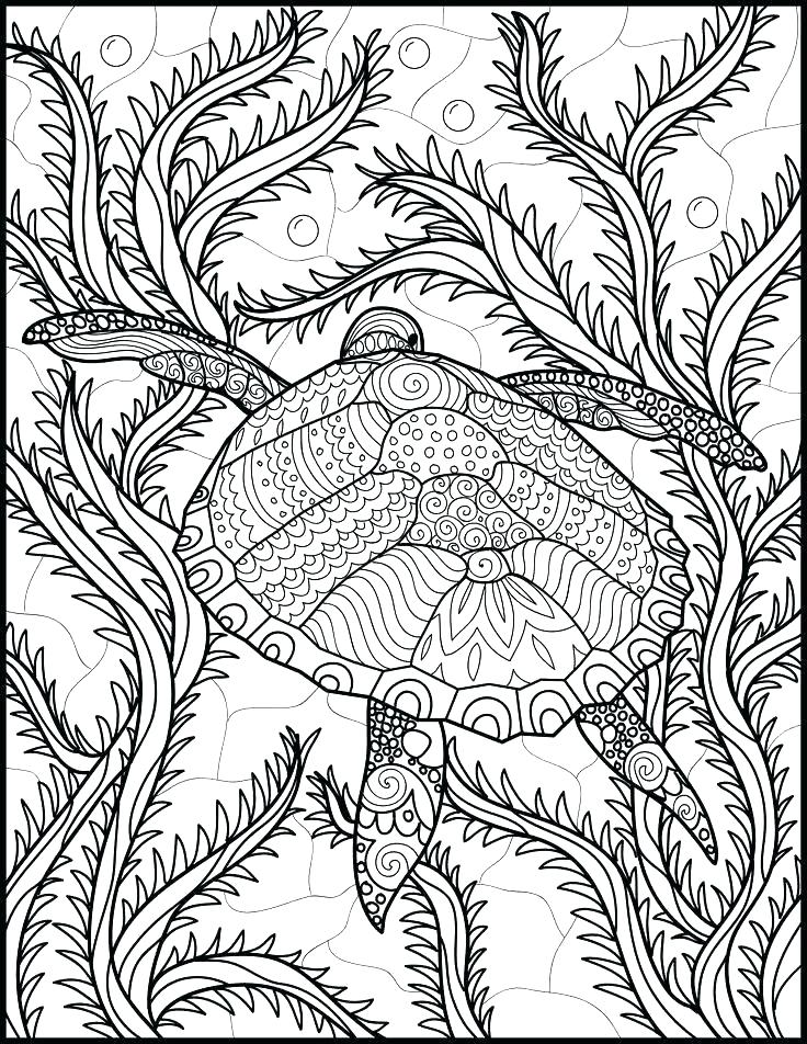 736x952 Ocean Life Coloring Pages Free Printable Ocean Coloring Pages