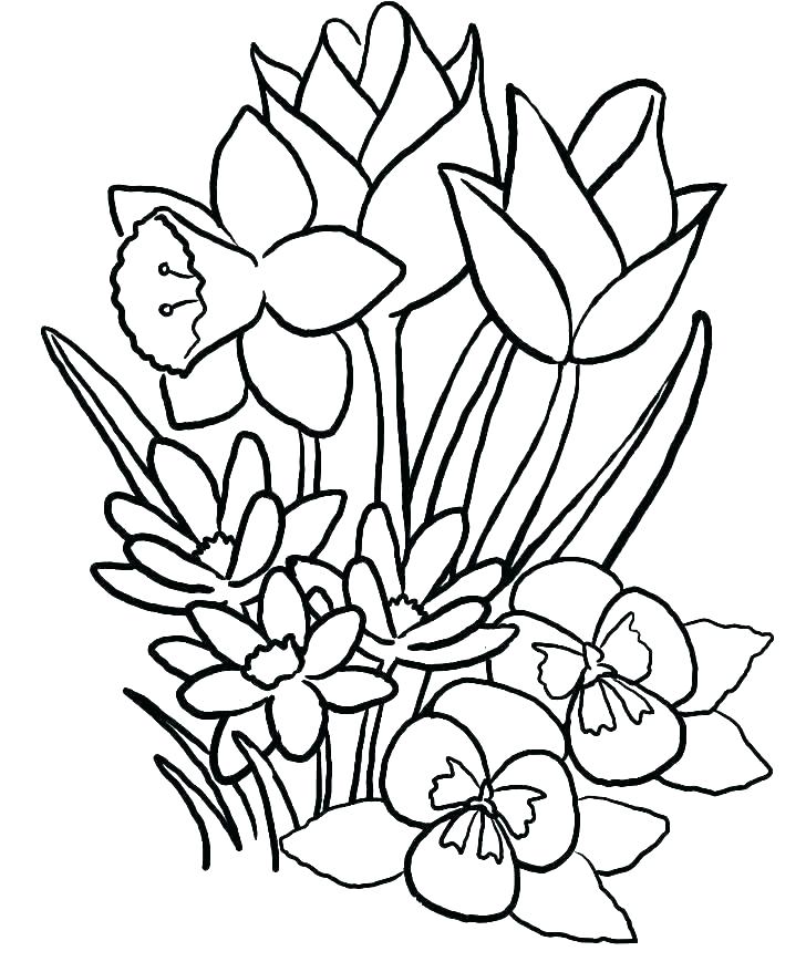 728x878 Printable Flow Amazing Spring Flowers Coloring Pages