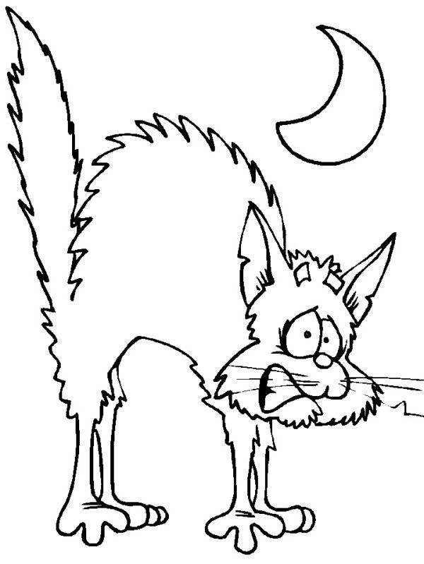 600x799 Scary Halloween Cat Coloring Pages
