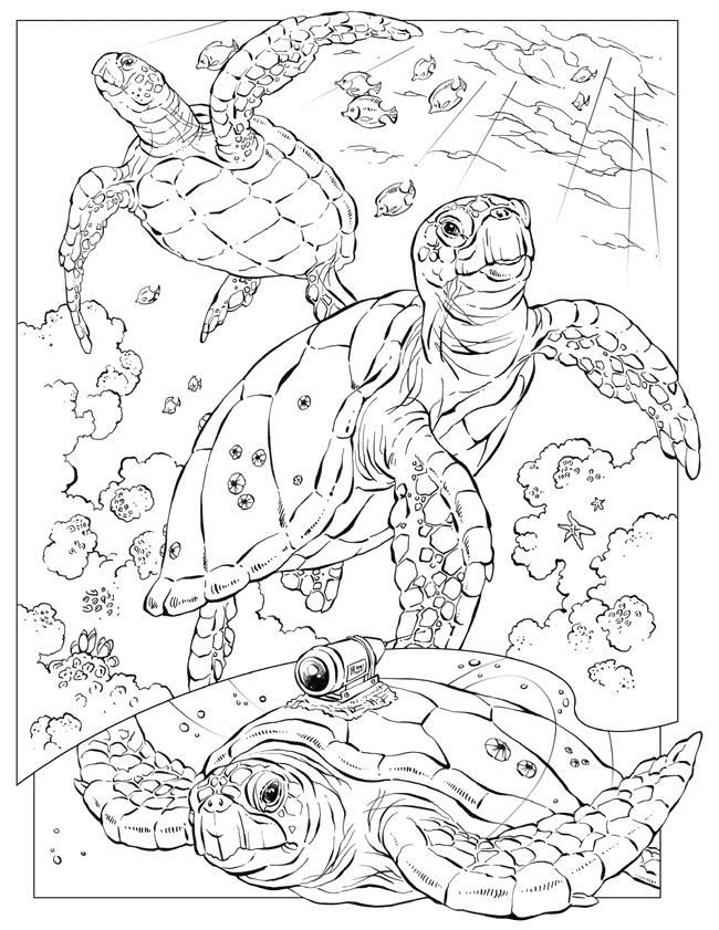 650x841 Printable Hard Coloring Page Animal