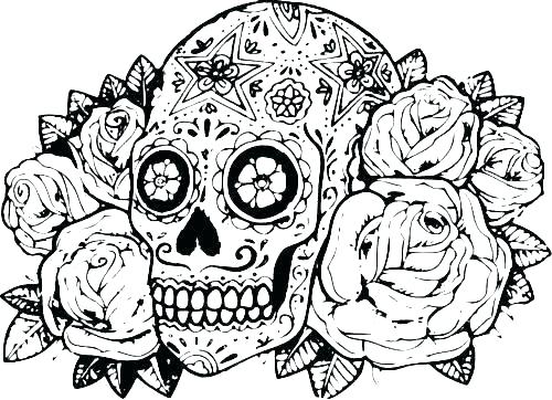 500x362 Hard Animal Coloring Pages Shippa.co
