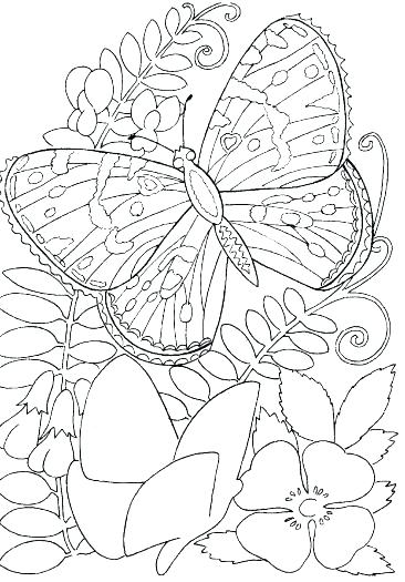 366x525 Coloring Pages That Are Hard Really Hard Mandala Coloring Pages
