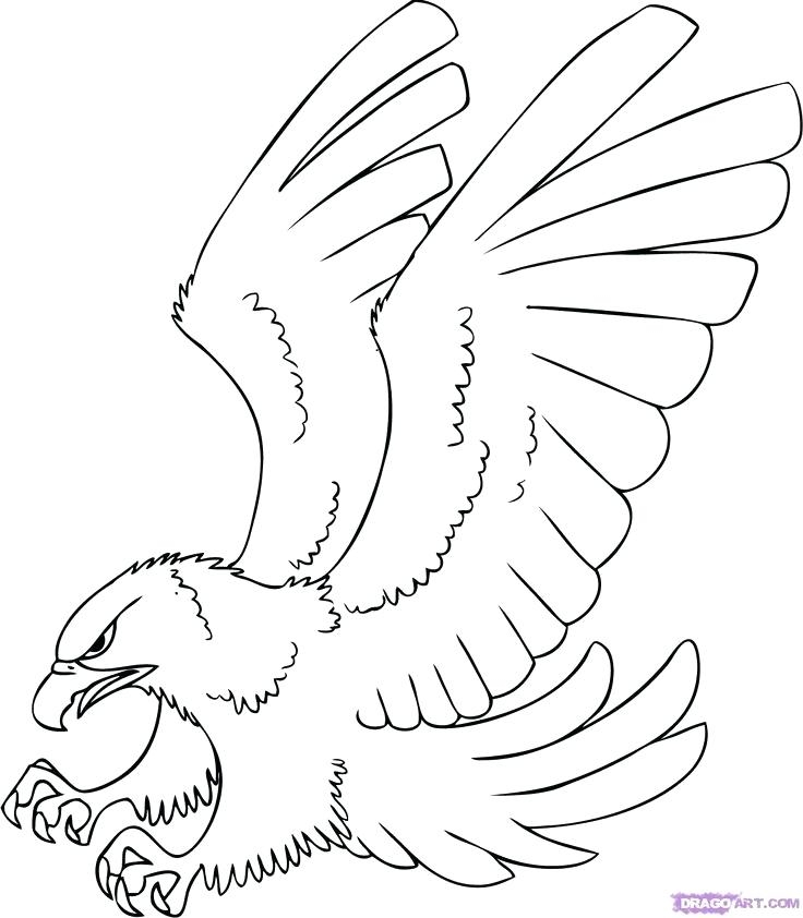 736x842 Hawk Coloring Hawk Coloring Pages Tony Hawk Coloring Pages Free