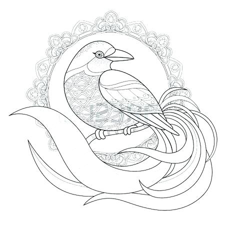 450x450 Red Tailed Hawk Coloring Pages Red Tailed Hawk 2 Red Tailed Hawk