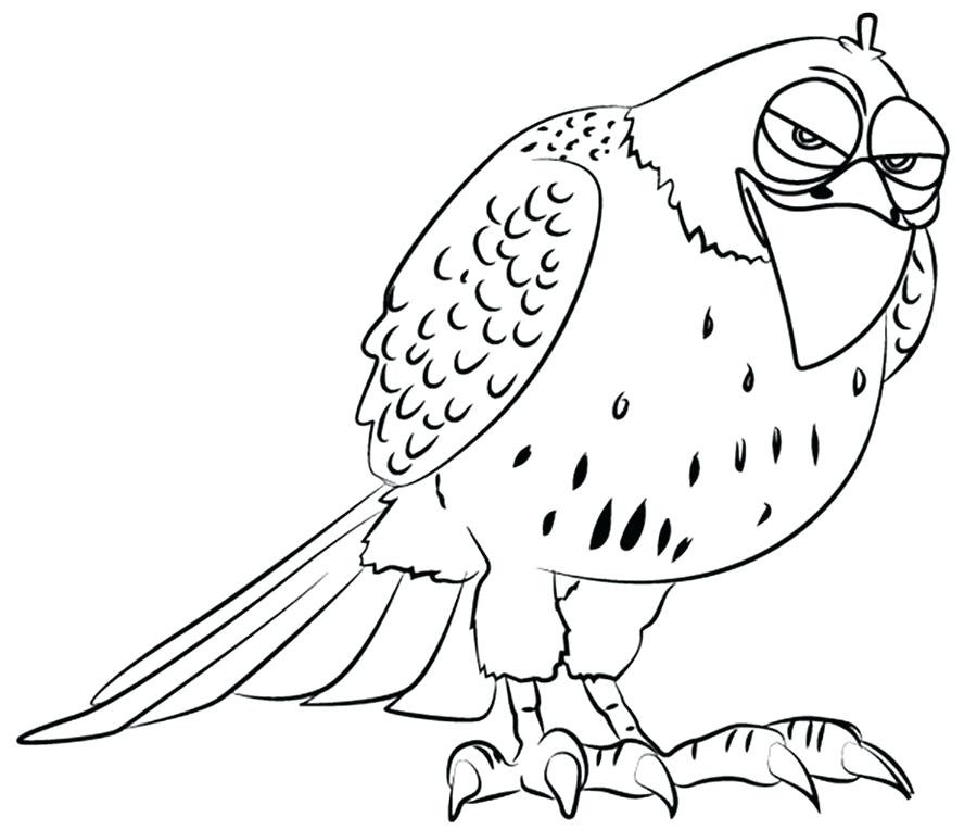 900x764 Red Tailed Hawk Coloring Page