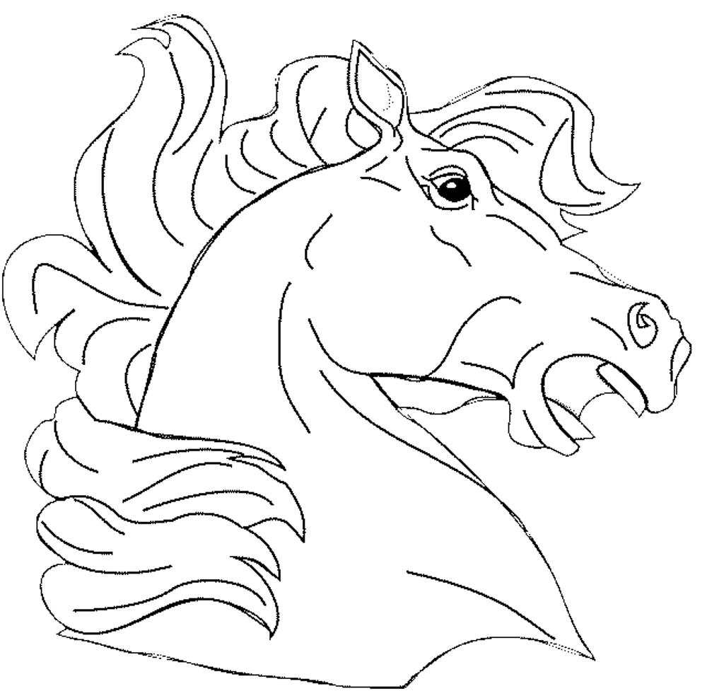 1000x977 Fun Horse Coloring Pages For Your Kids Printable