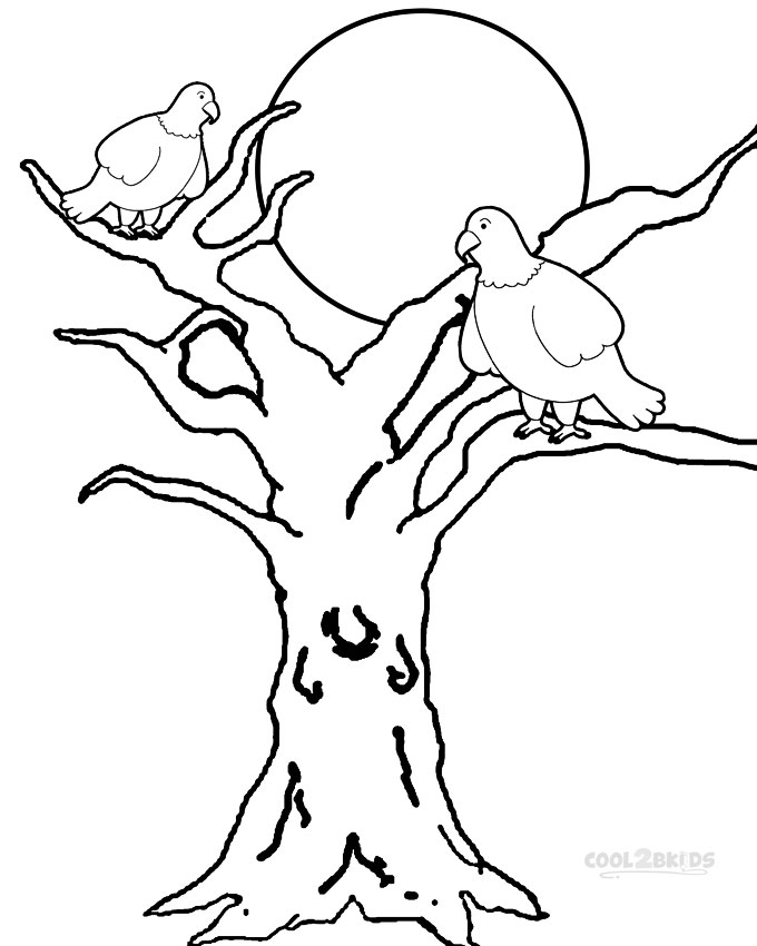 680x850 Printable Bald Eagle Coloring Pages For Kids Cool2bkids