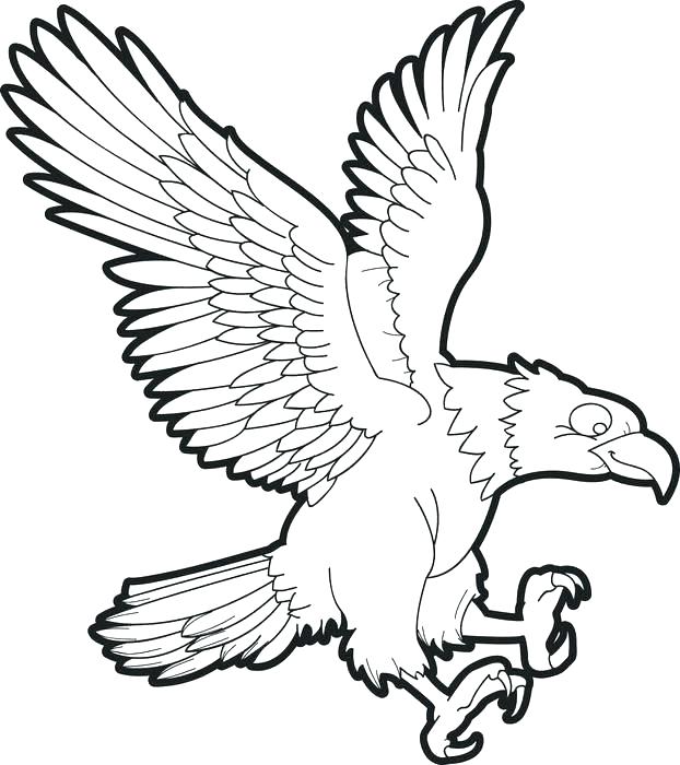 622x700 Bald Eagle Coloring Pages Eagle Colouring In Bald Eagle Coloring