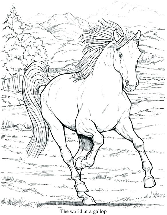 584x750 Coloring Pictures Horses Coloring Of Horses Running Horse Photo