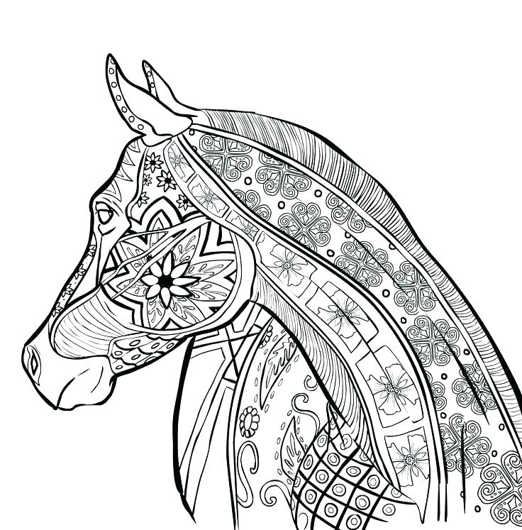 736x747 Carousel Animals Coloring Pages Free Coloring Pictures Of Horses