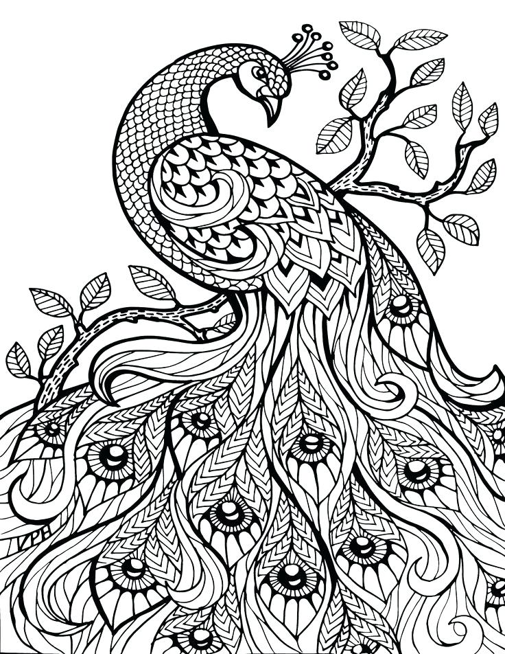 Coloring Pages Ideas