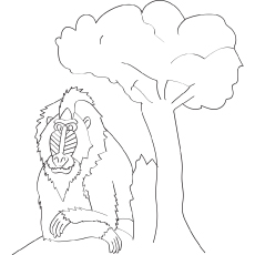 230x230 Top 25 Free Printable Monkey Coloring Pages For Kids