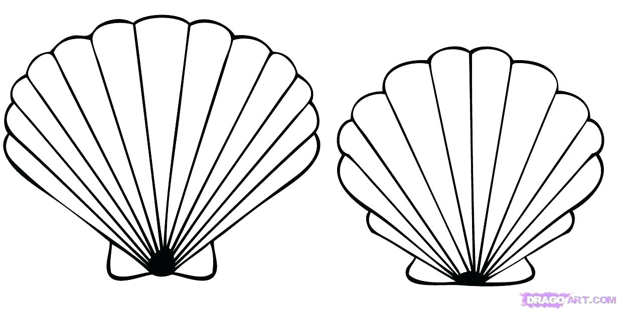 1234x621 Seashell Coloring Page Sea Shells Coloring Pages Info Amazing